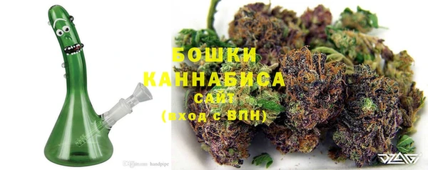 ГАЛЛЮЦИНОГЕННЫЕ ГРИБЫ Медногорск
