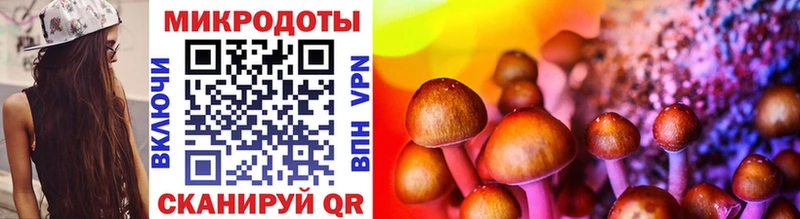 Галлюциногенные грибы Psilocybe  Уржум 